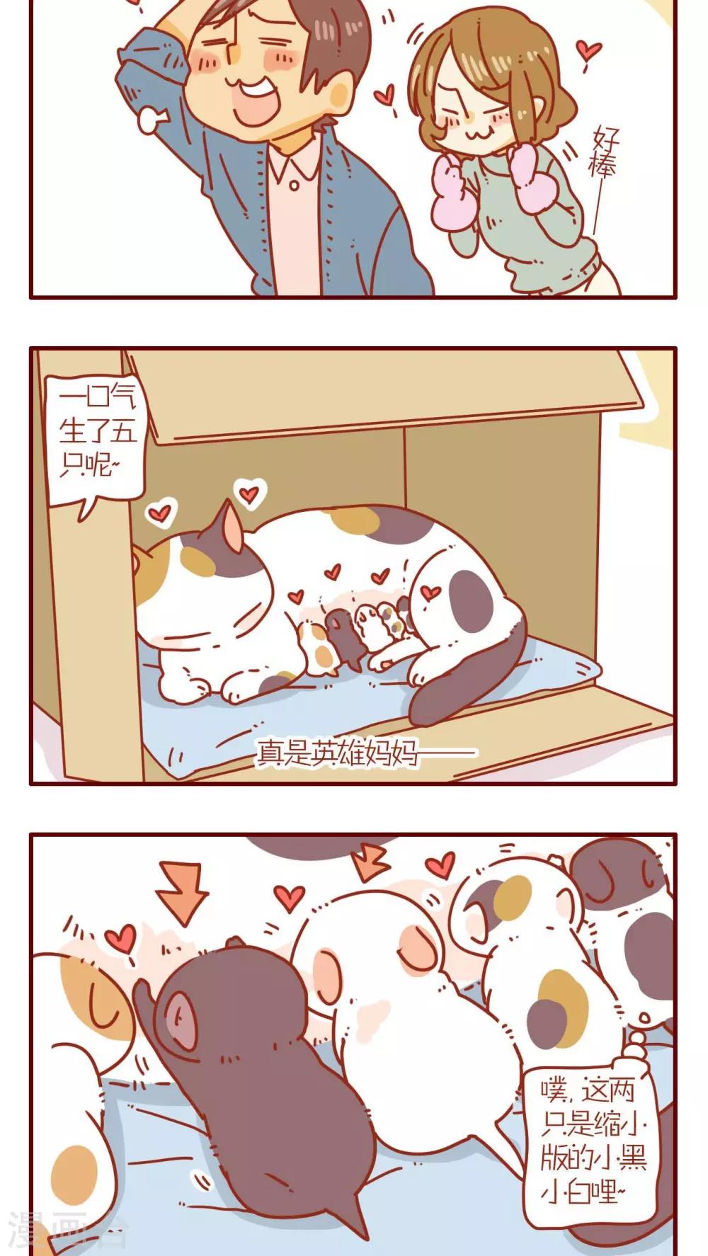第72话-第72话