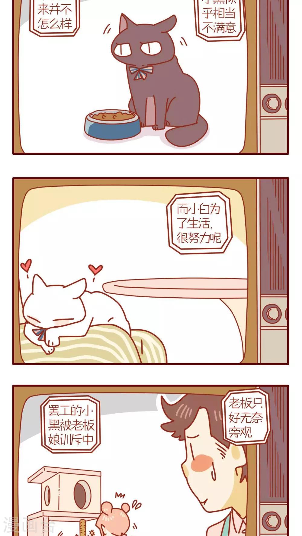 第84话-第84话