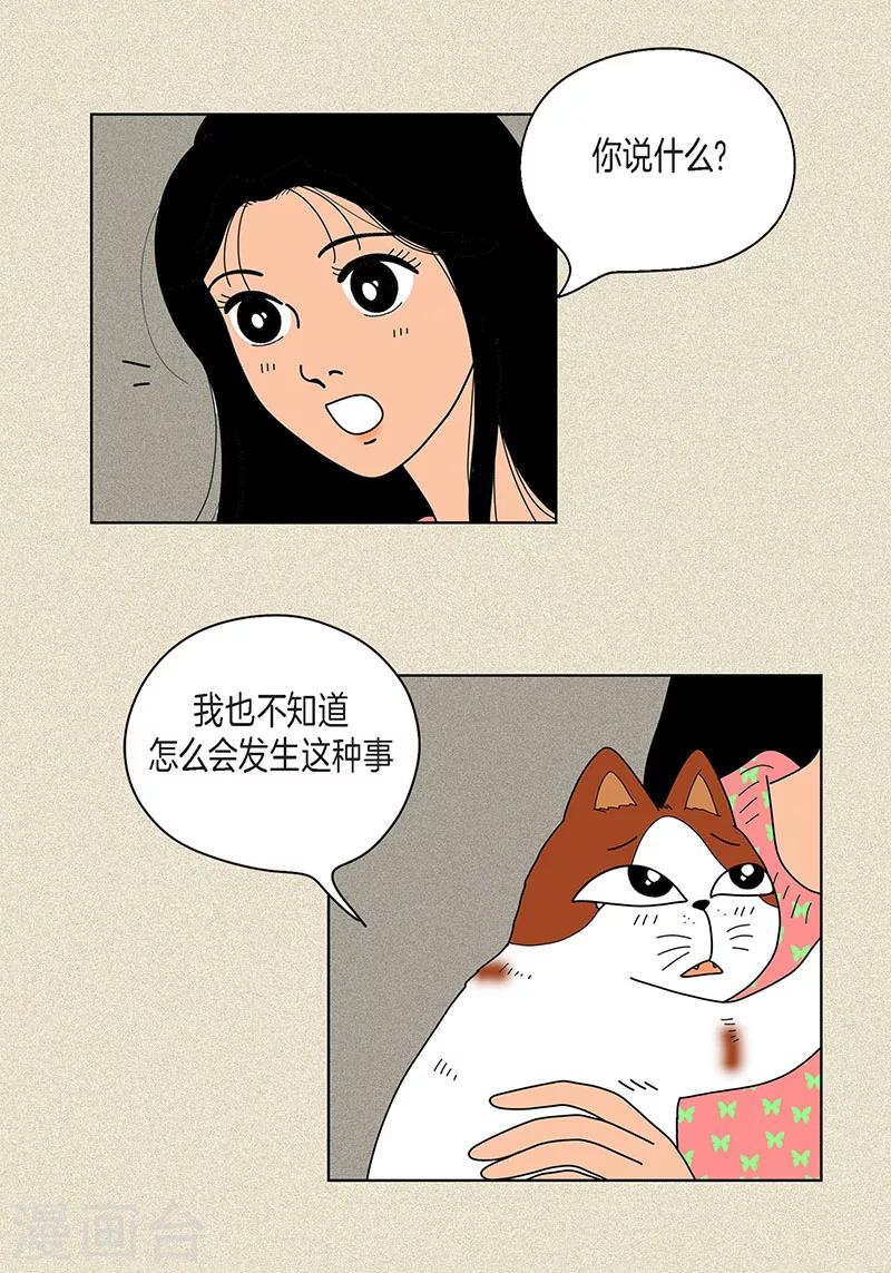第22话 扑到你的怀里-第24话