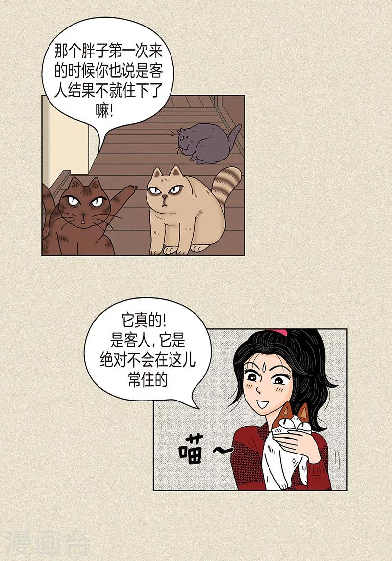 第30话 粘人的猫-第32话