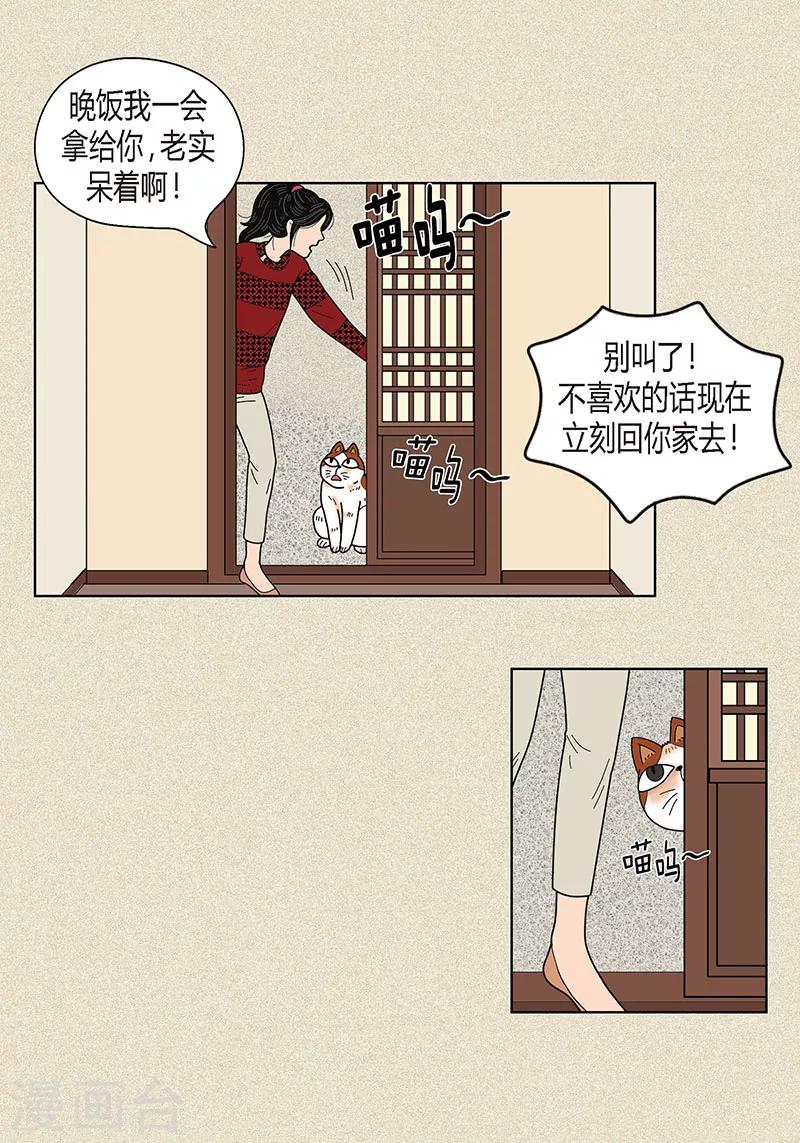 第30话 粘人的猫-第32话