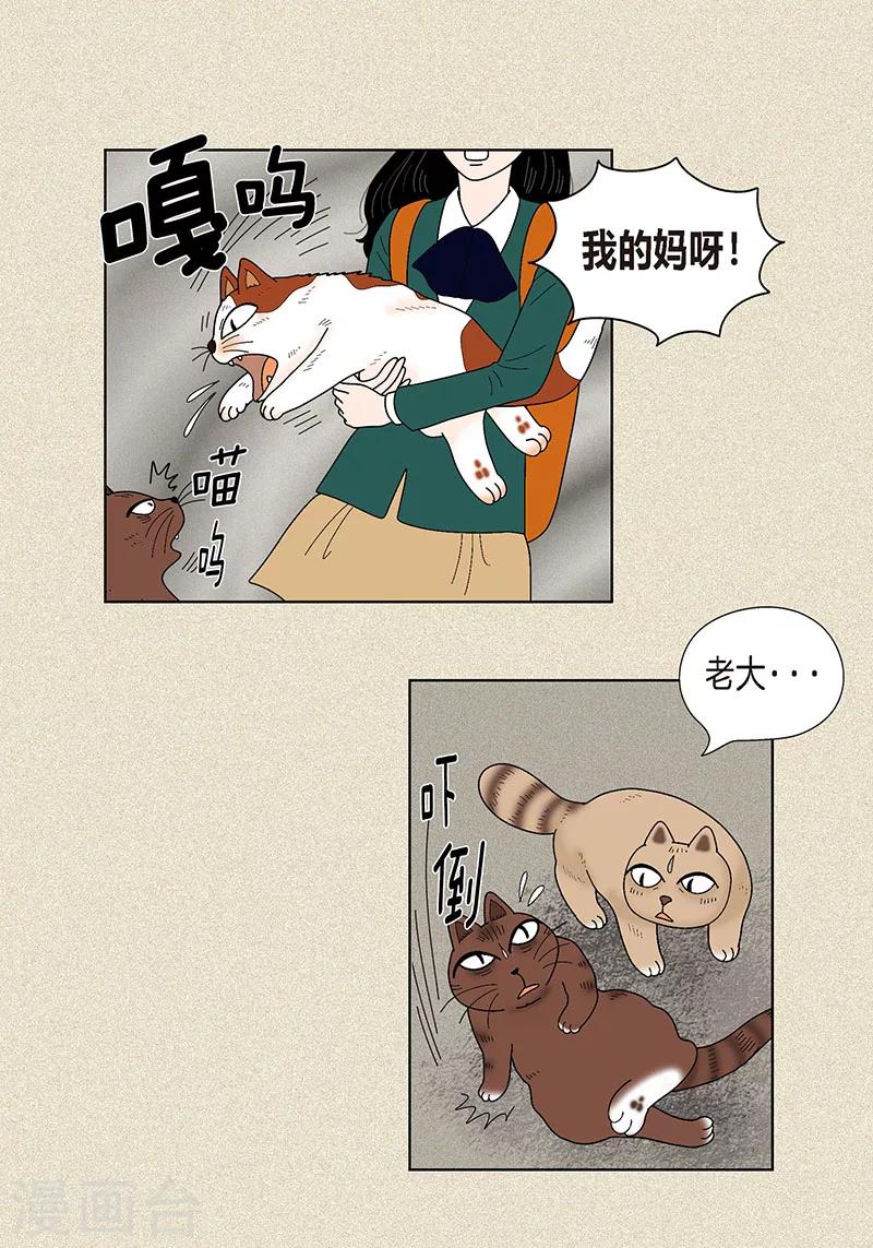 第32话 爸爸来了-第34话