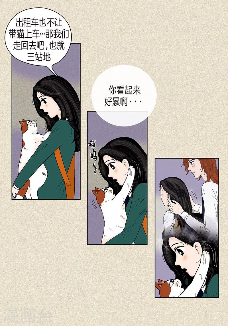 第36话 神秘人-第38话