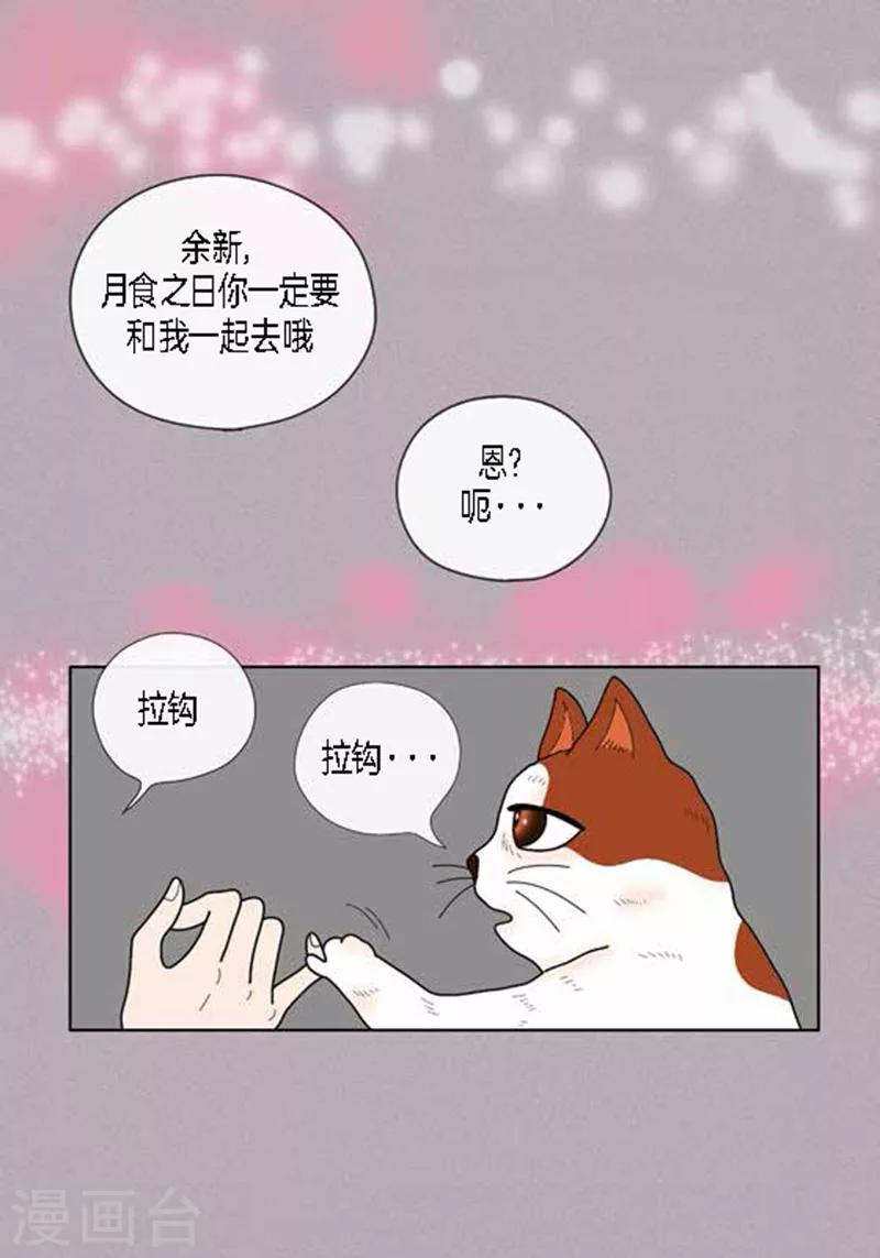 第64话 回忆与现实-第66话
