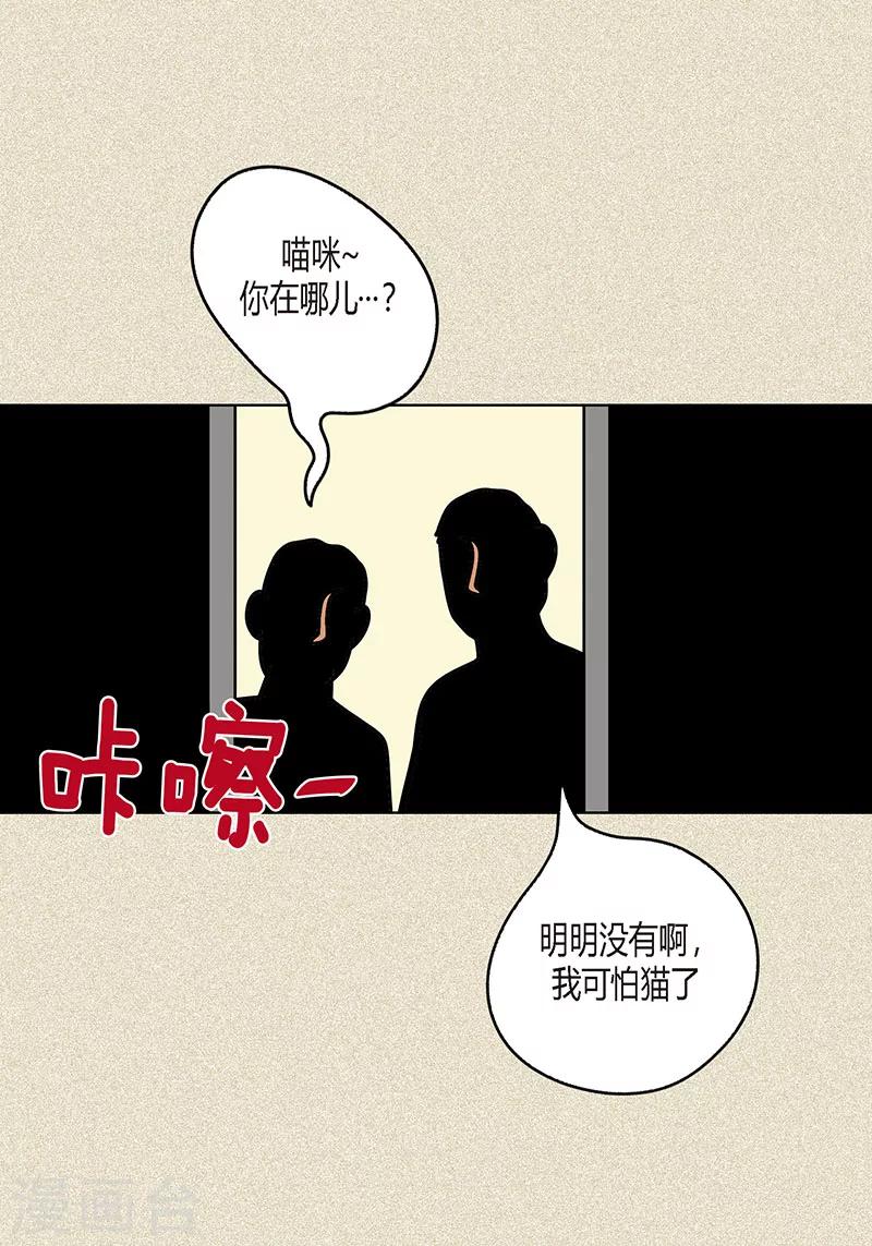 第8话 &ldquo;流浪&rdquo;喵-第10话