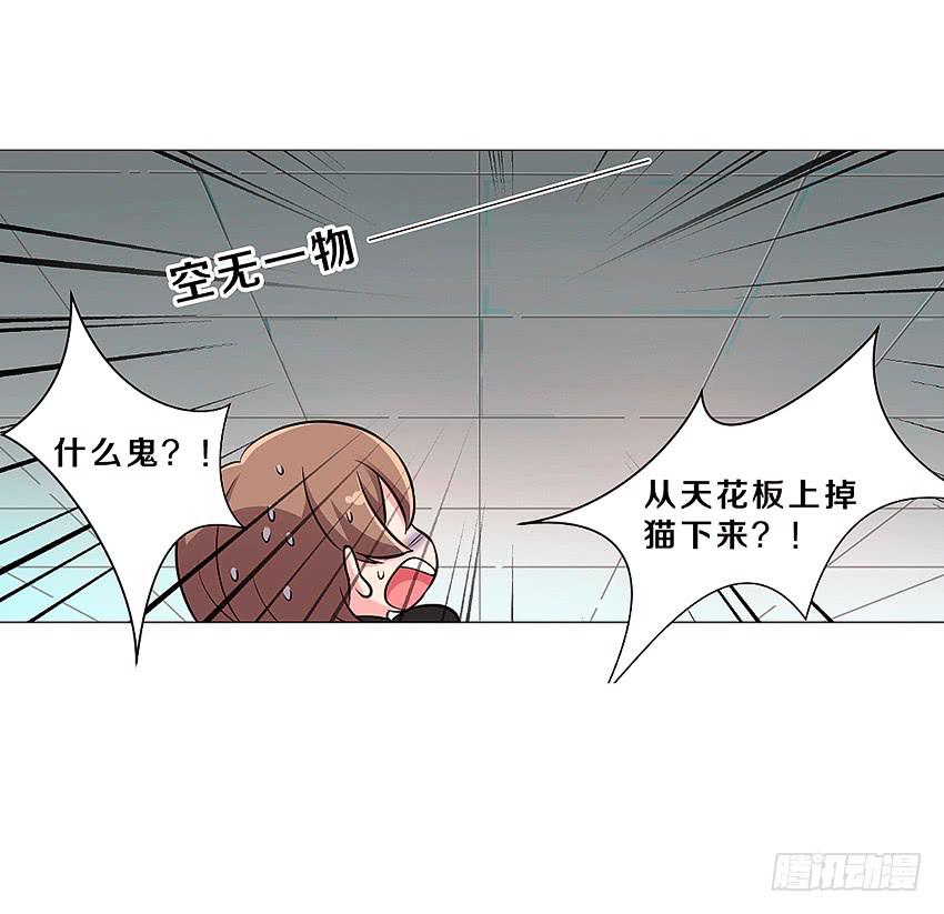 喵！？(1/2)-第2话