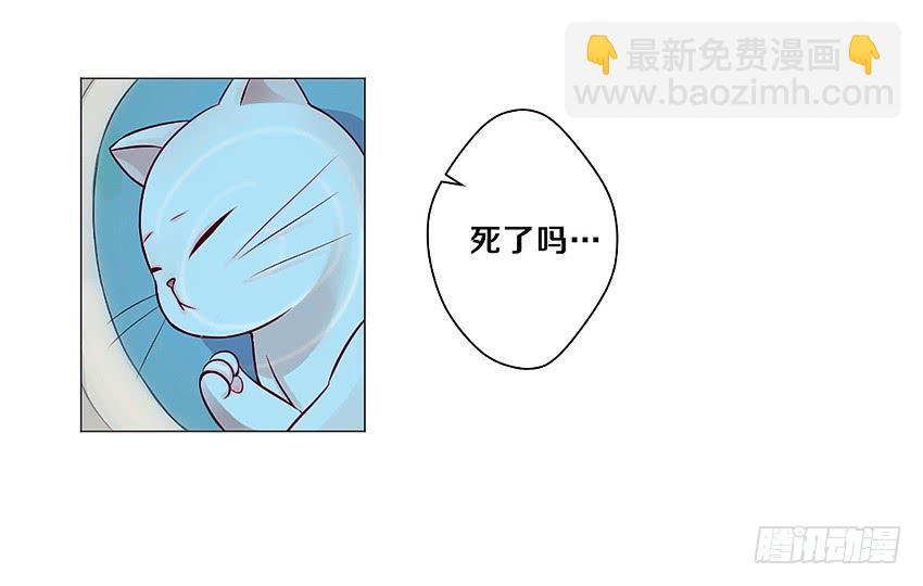 喵！？(1/2)-第2话