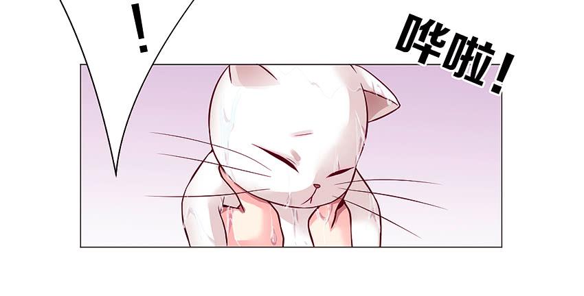 喵！？(1/2)-第2话