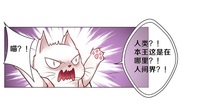 喵！？(1/2)-第2话