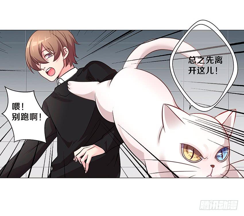 喵！？(1/2)-第2话