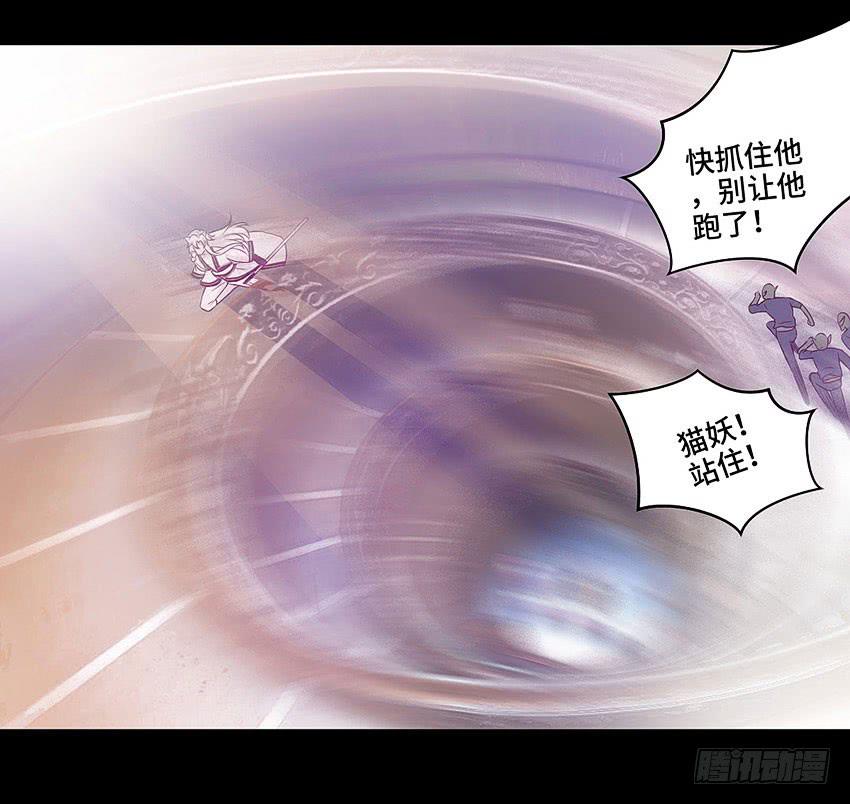 真是只傻猫-第40话