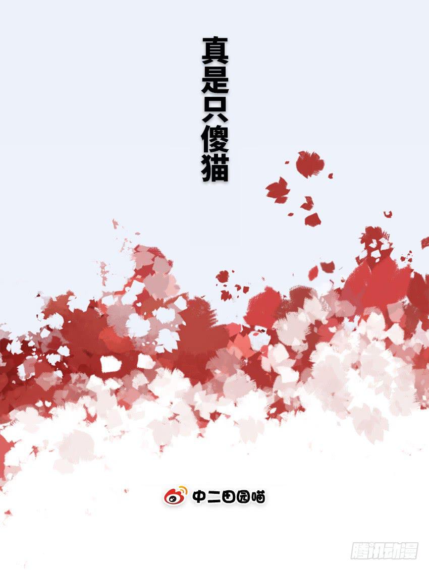 真是只傻猫-第40话