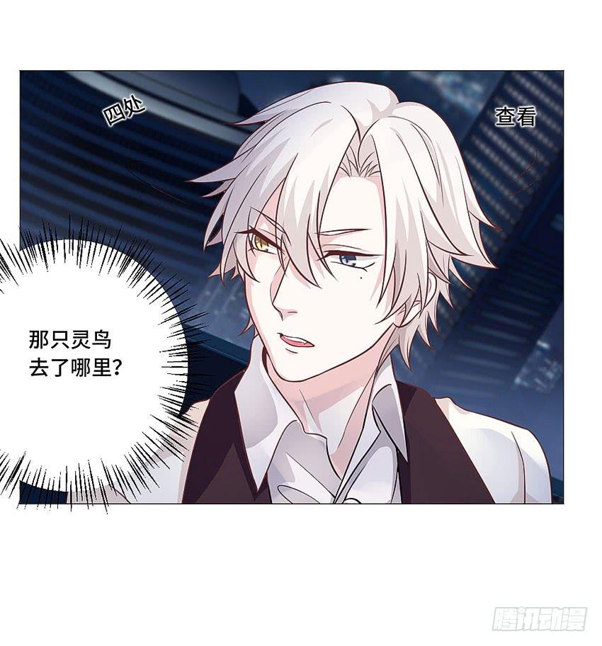我的爱人-第62话