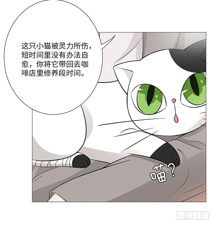 请不要叫我猫精-第80话