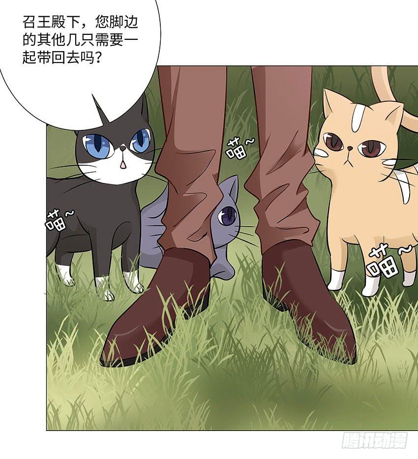 请不要叫我猫精-第80话