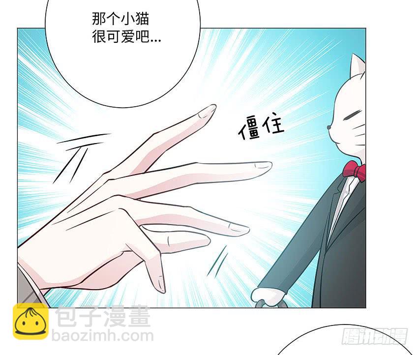 请不要叫我猫精-第80话