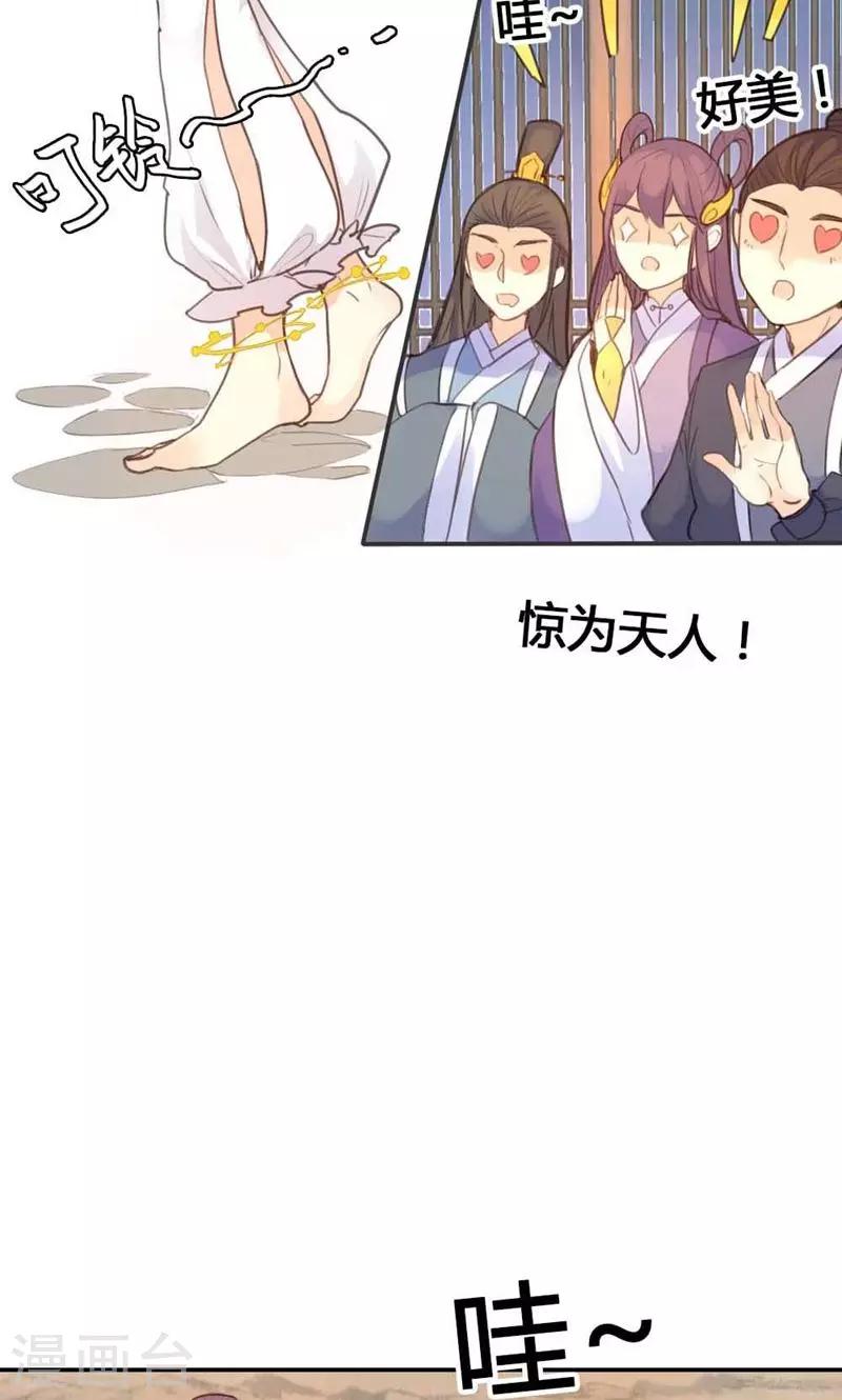 第14话 惊艳全场-第14话