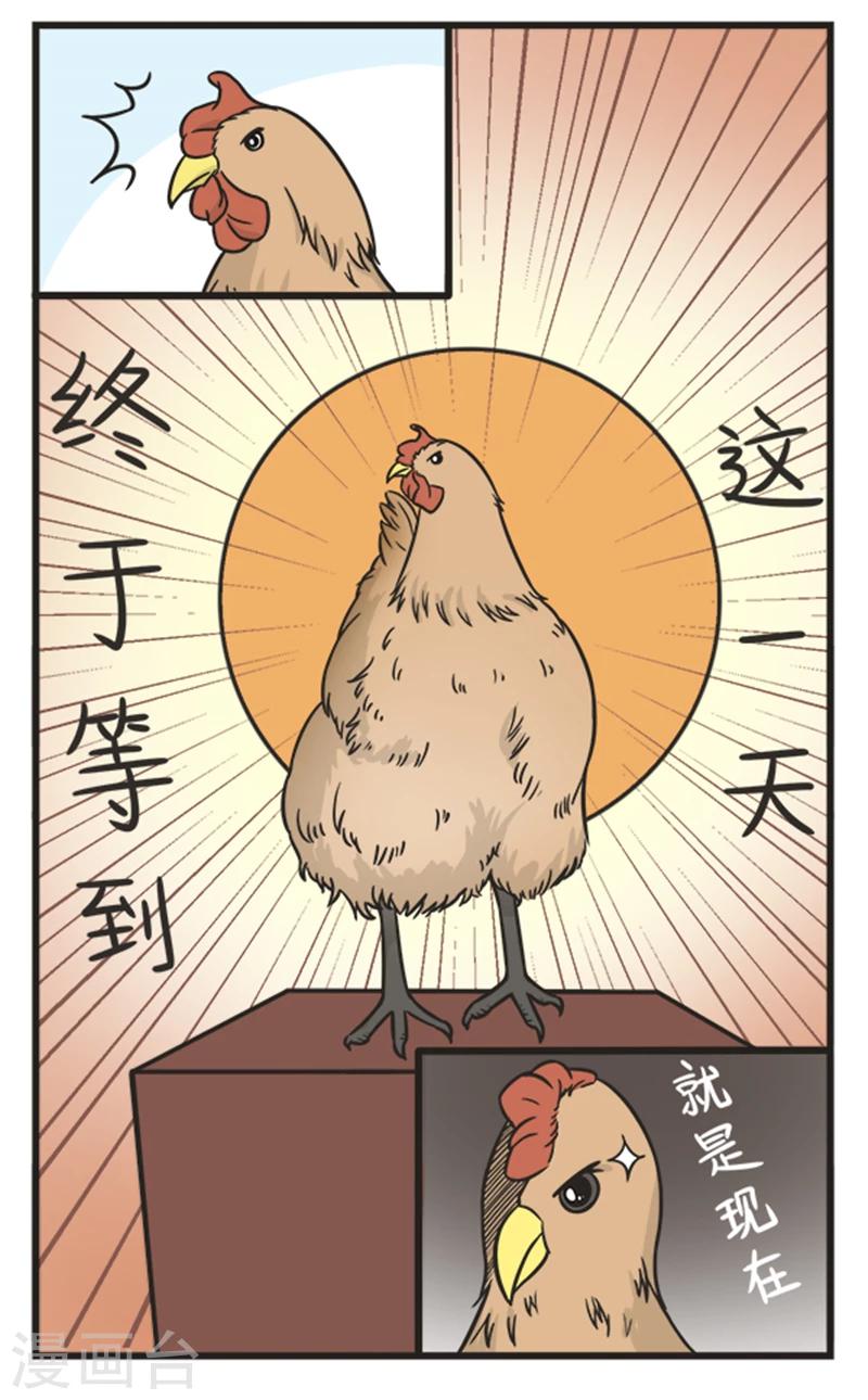 第210话 买鸡-第210话