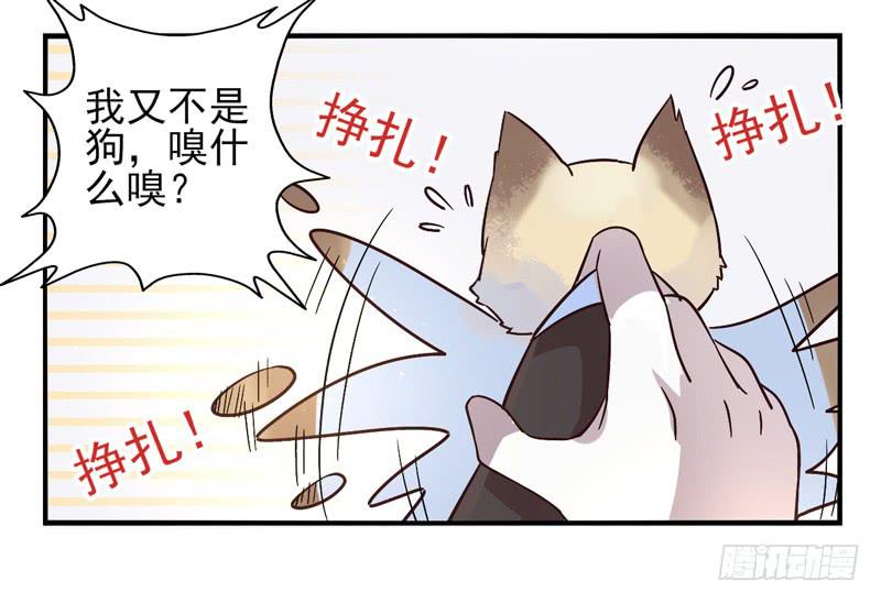 第47话：愿望面具（番外）-第62话