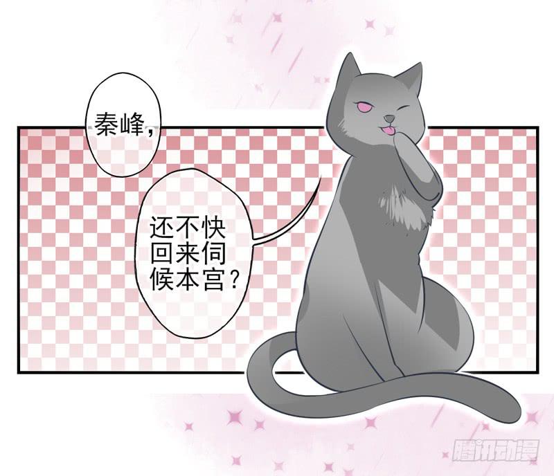 第58话：镜界面局05-第74话