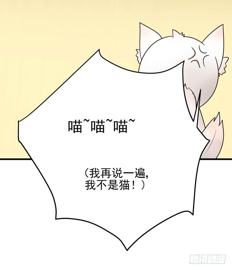 喵喵喵-第2话