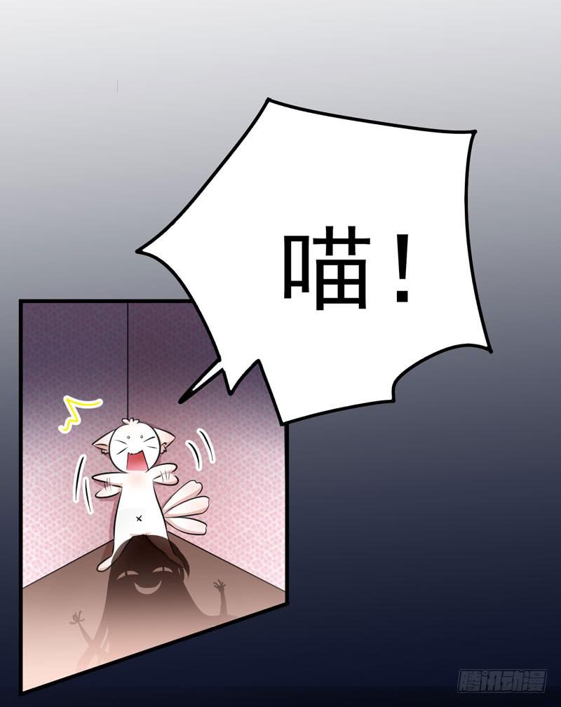 喵喵喵-第2话