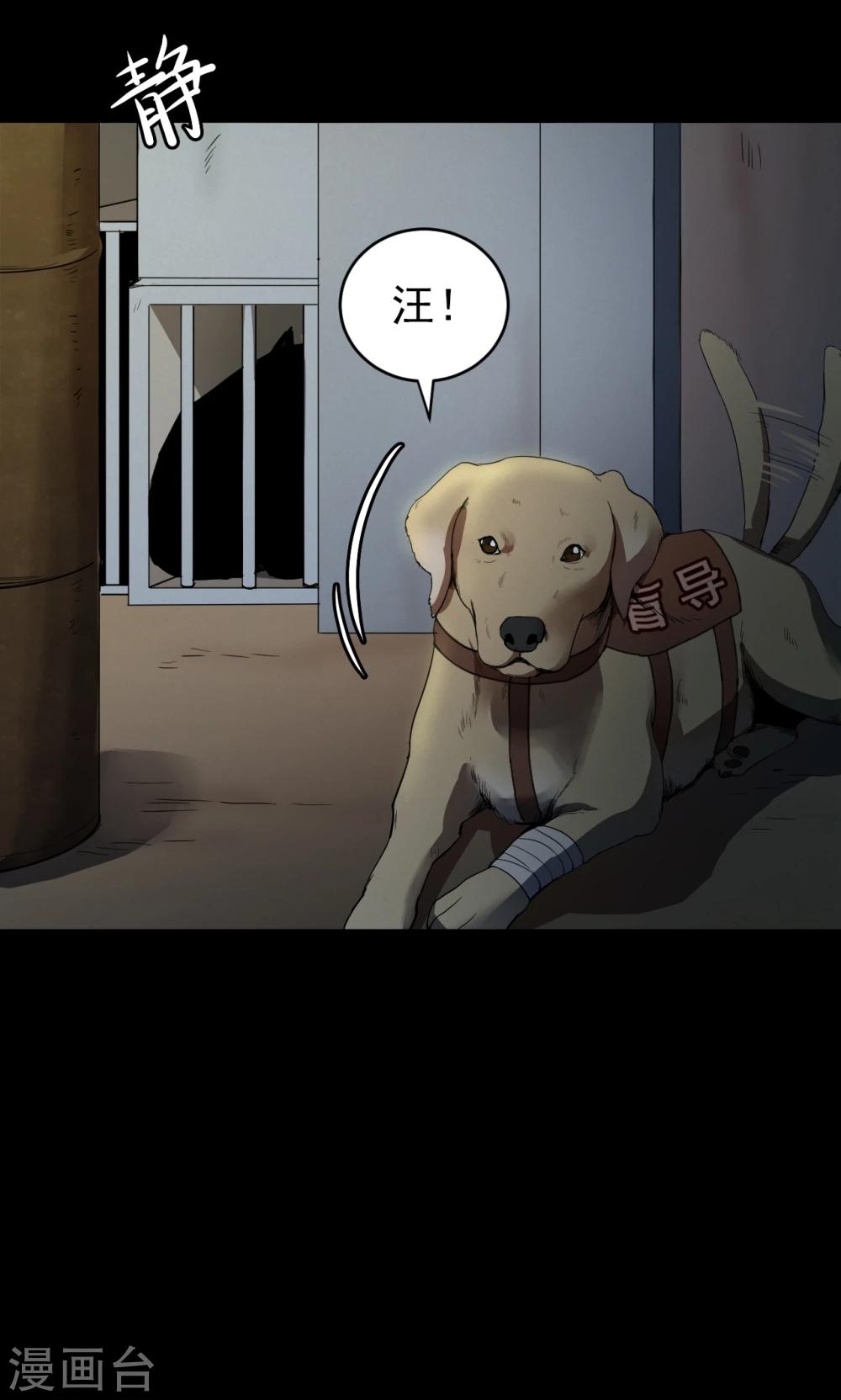 第52话 垃圾分类5-第52话