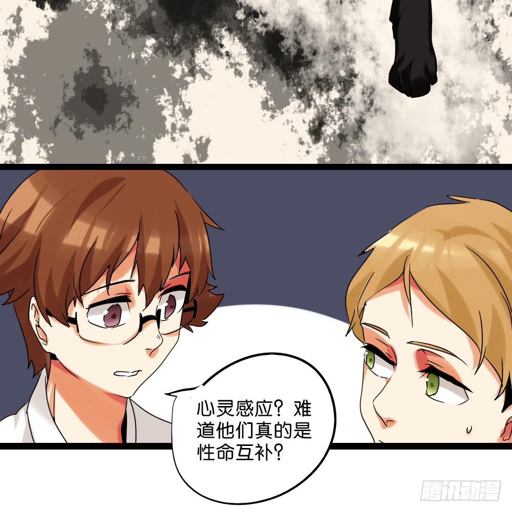 🍟命运互补，所以我要搞定你！ 第三十一话：活要见猫，死要见毛 第13页
