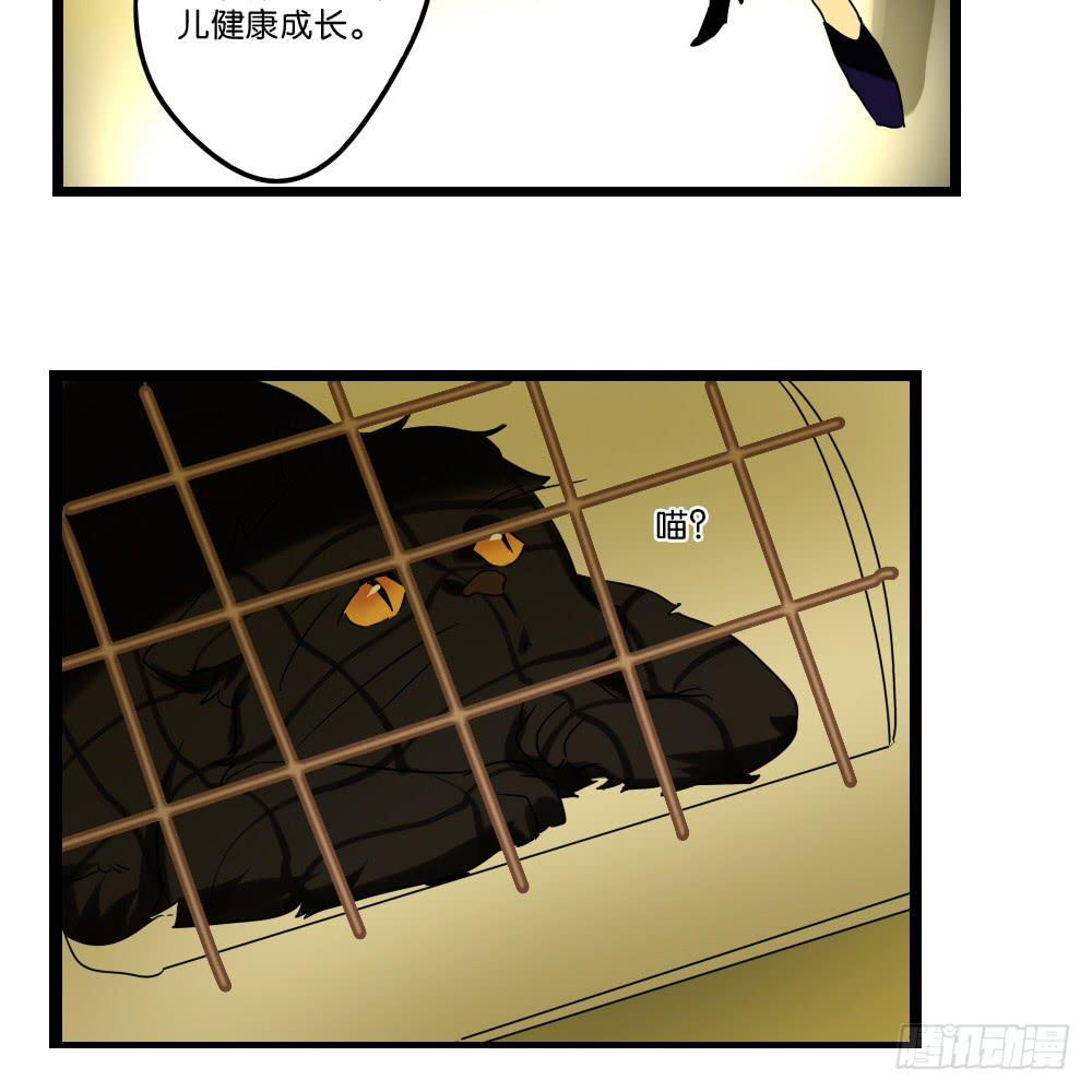 🍟命运互补，所以我要搞定你！ 第三十一话：活要见猫，死要见毛 第16页