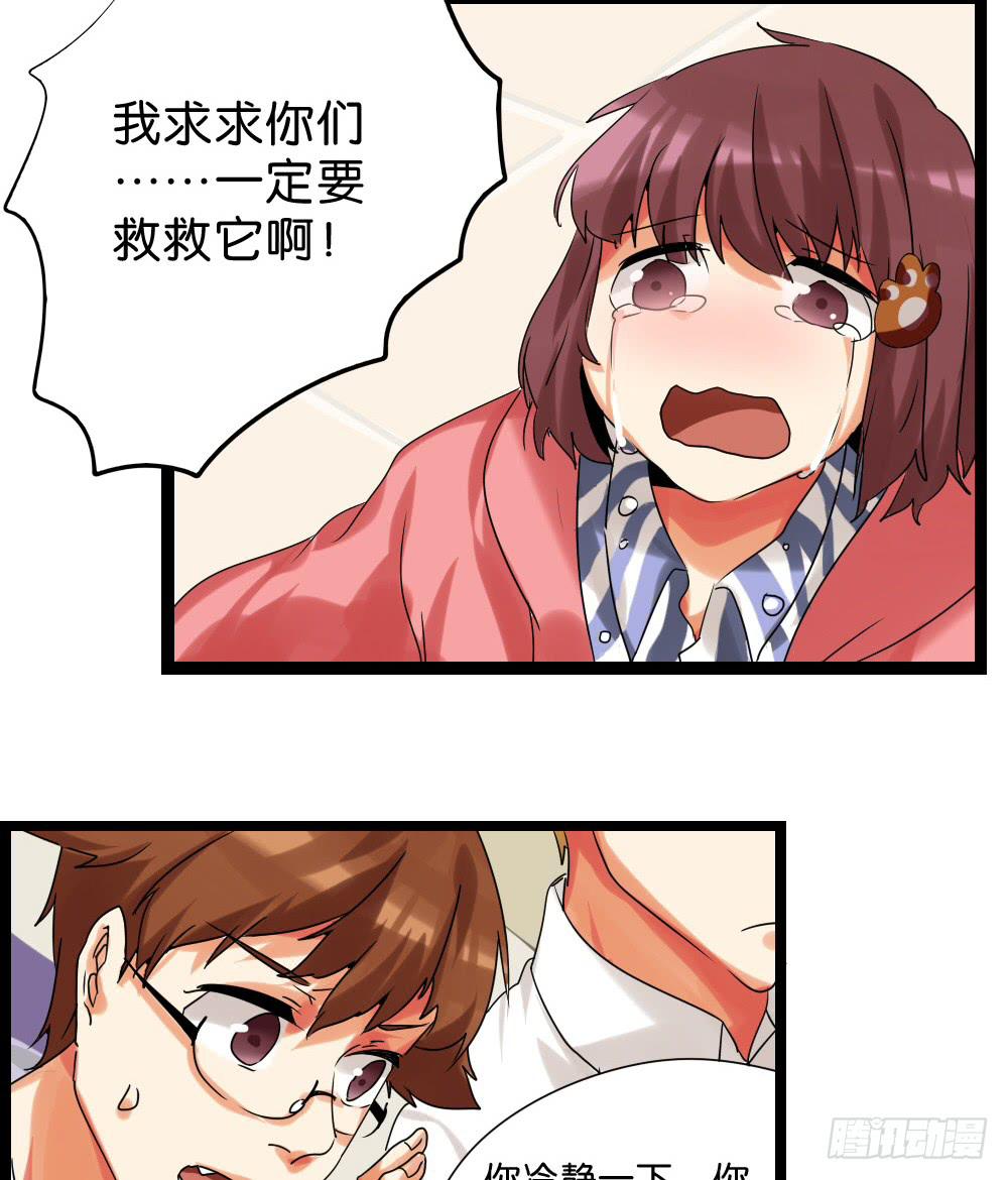 🍟命运互补，所以我要搞定你！ 第三十一话：活要见猫，死要见毛 第7页