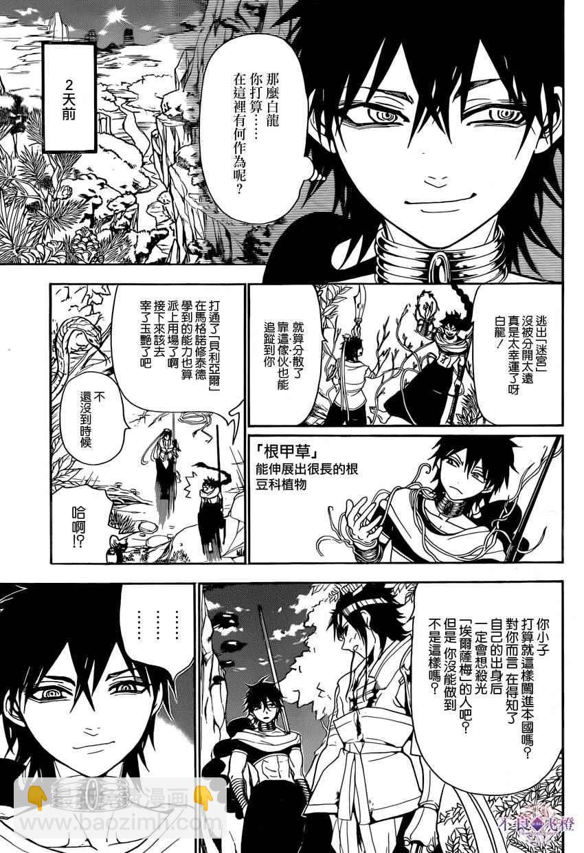 🍟魔笛MAGI 第245话 第3页
