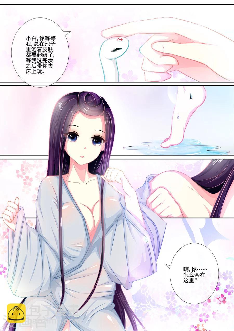 第14话 以小白之名-第14话