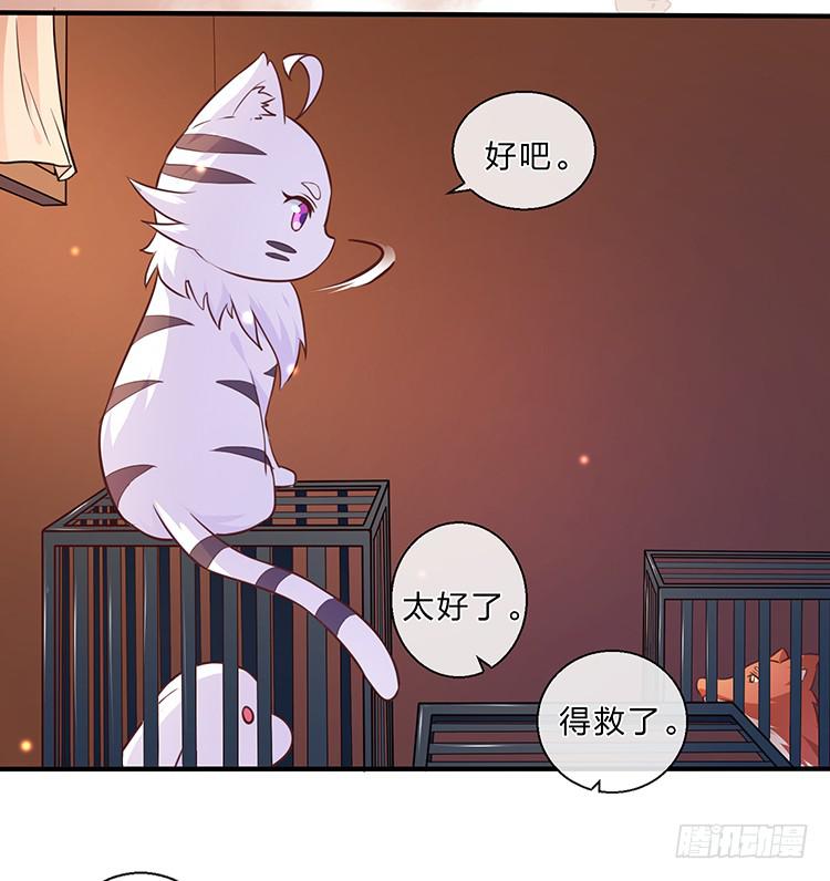 五公主(1/2)-第42话