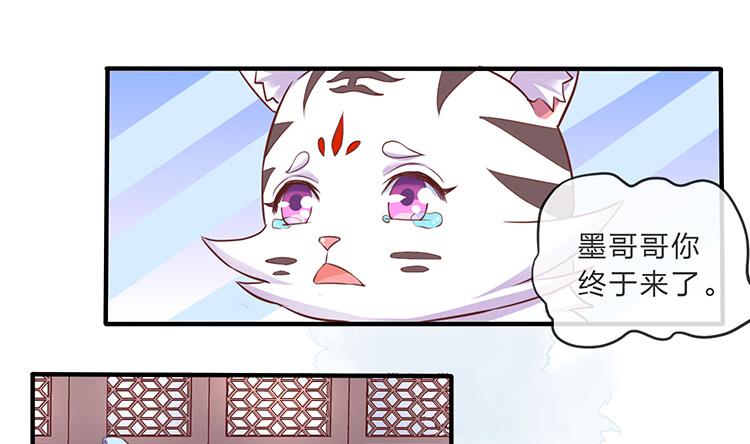 大闹寿宴-第46话