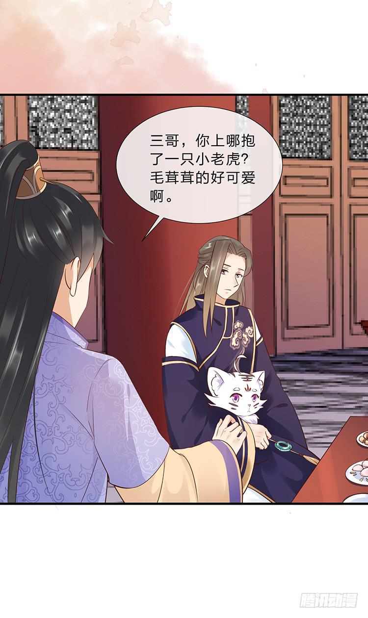 误会，这都是误会(1/2)-第48话