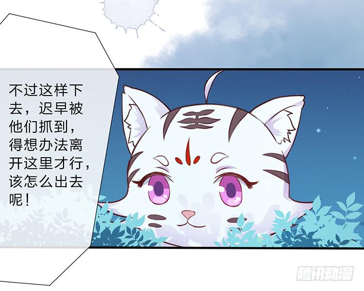 二哥回来了(1/2)-第50话
