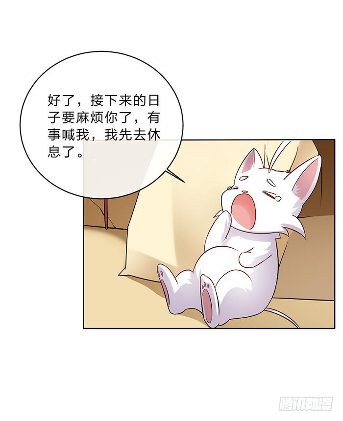 买买买(1/2)-第6话