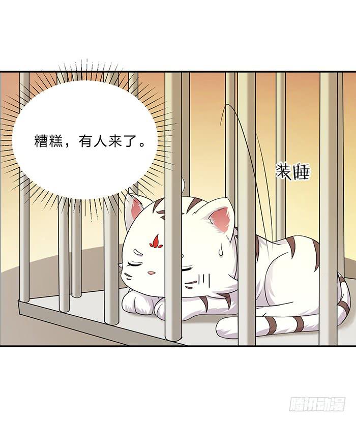 买买买(1/2)-第6话