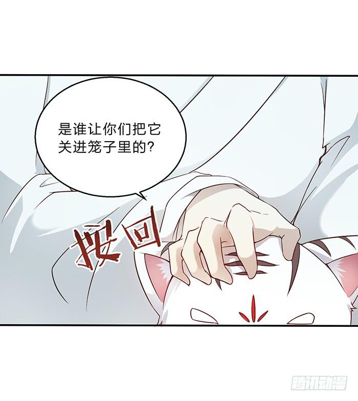 王府乌龙-第8话