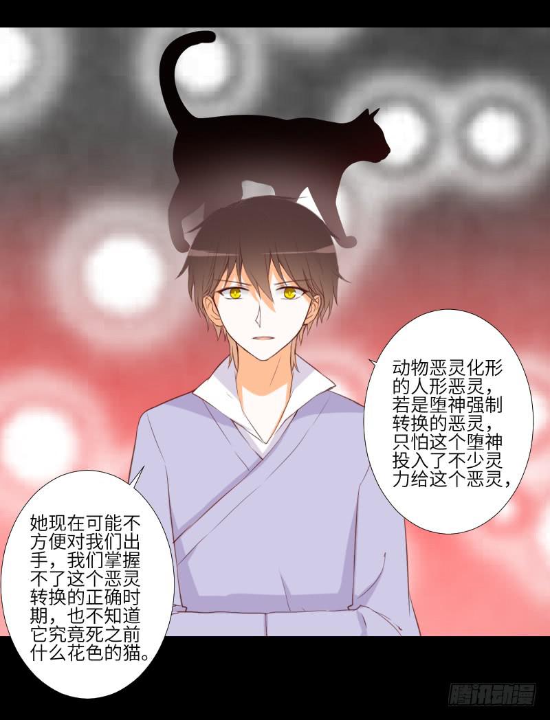 黑猫恶灵-第50话