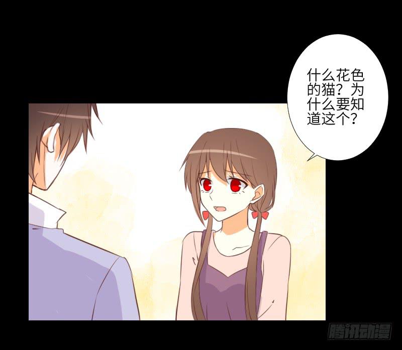 黑猫恶灵-第50话