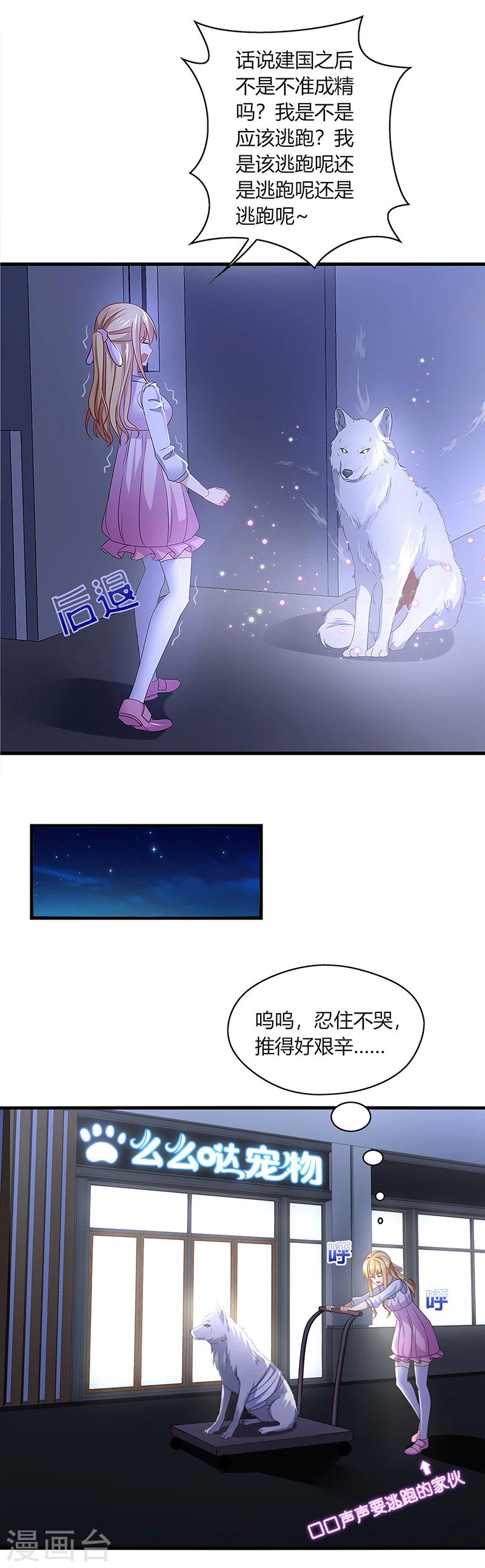 第1话 天啊！爱豆变成萨摩耶？-第2话