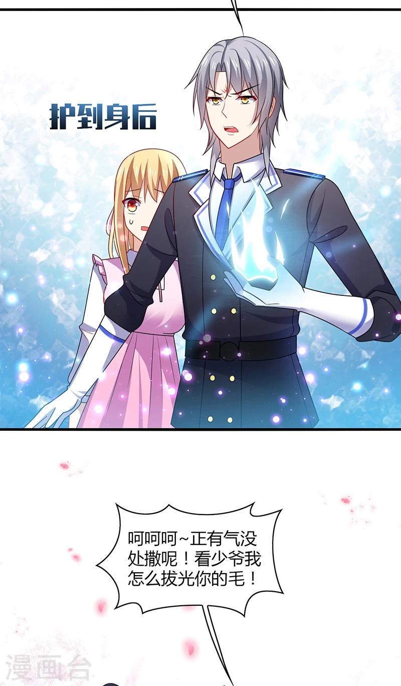 第3话 放手！看我拔光你的毛？-第4话