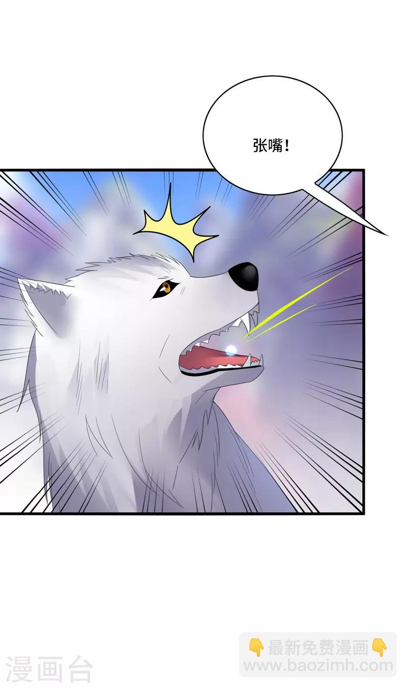 第41话 为你，我斩尽满山桃花！-第44话