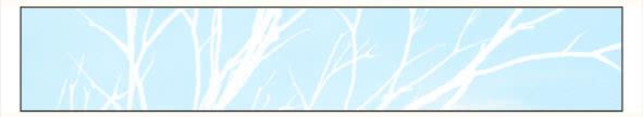 摄影任务-第56话