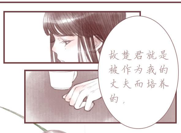 情定(1/2)-第70话