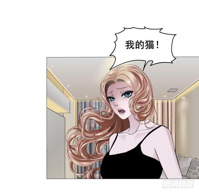 第二季 第20集 猫咪危机(1/2)-第144话