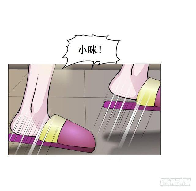 第二季 第20集 猫咪危机(1/2)-第144话