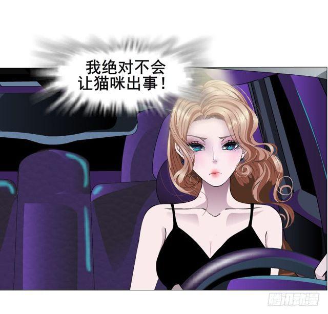 第二季 第20集 猫咪危机(1/2)-第144话