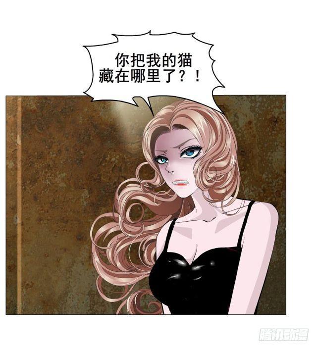 第二季 第20集 猫咪危机(1/2)-第144话